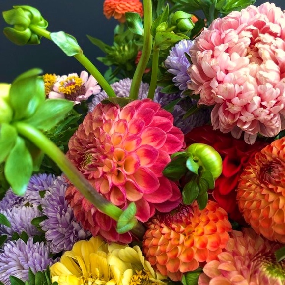 Welcome! - Picture 1 of 1